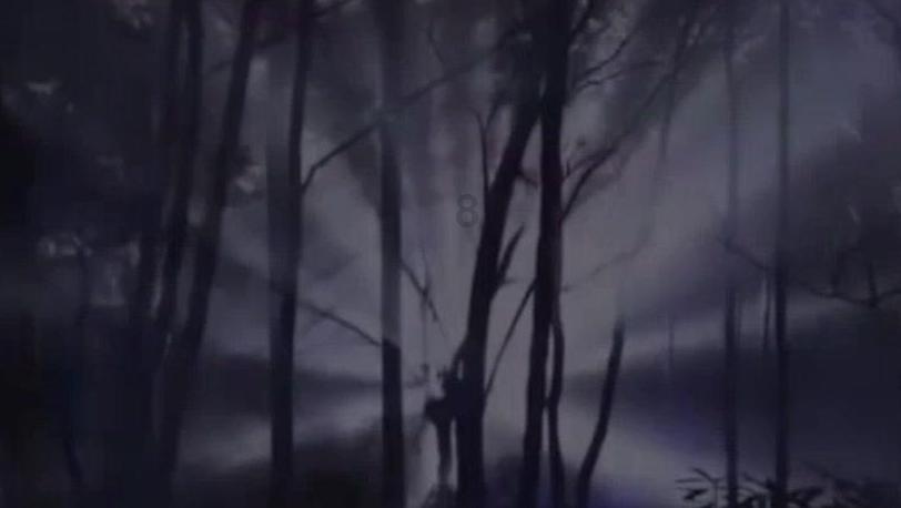 死神VS火影2.6